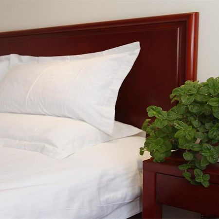 Greentree Inn Shanghai Dongming Road Subway Station Express Hotel Xangai Exterior foto