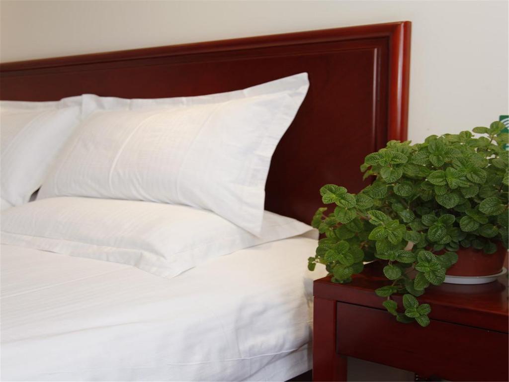 Greentree Inn Shanghai Dongming Road Subway Station Express Hotel Xangai Exterior foto